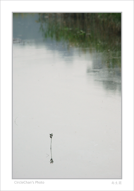 small DSC_9298 calm water.jpg