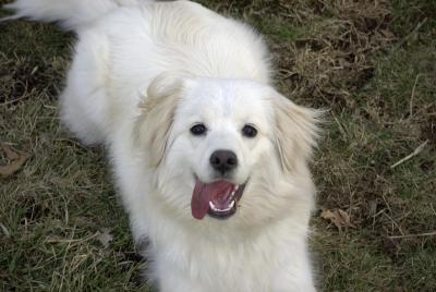 Bailey0302.jpg