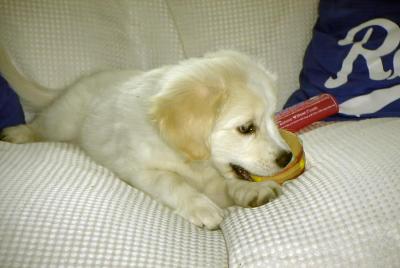 bailey0902a.jpg