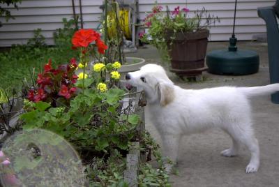 bailey0902c.jpg