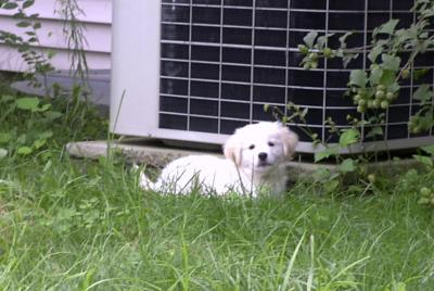 bailey0902d.jpg