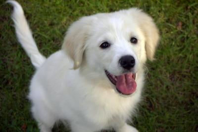 Bailey1002a.jpg