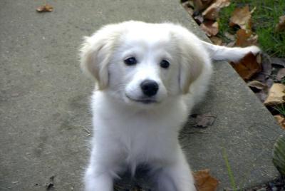 bailey1002c.jpg