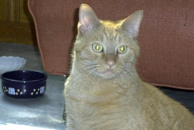 max0902.jpg