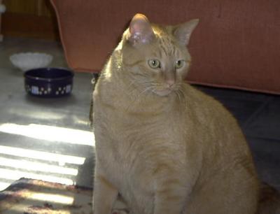 Max