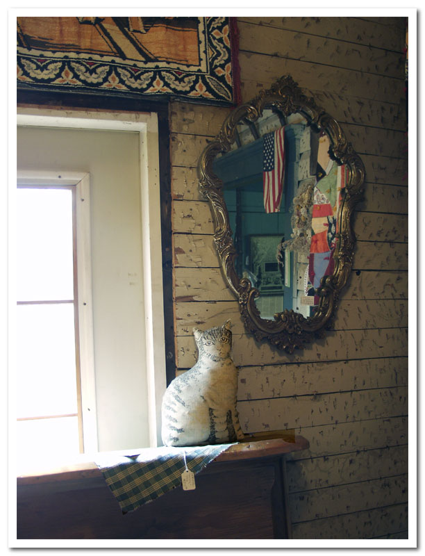Window Cat