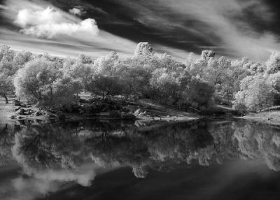 Ranch Pond Reflections