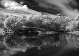 Ranch Pond Reflections