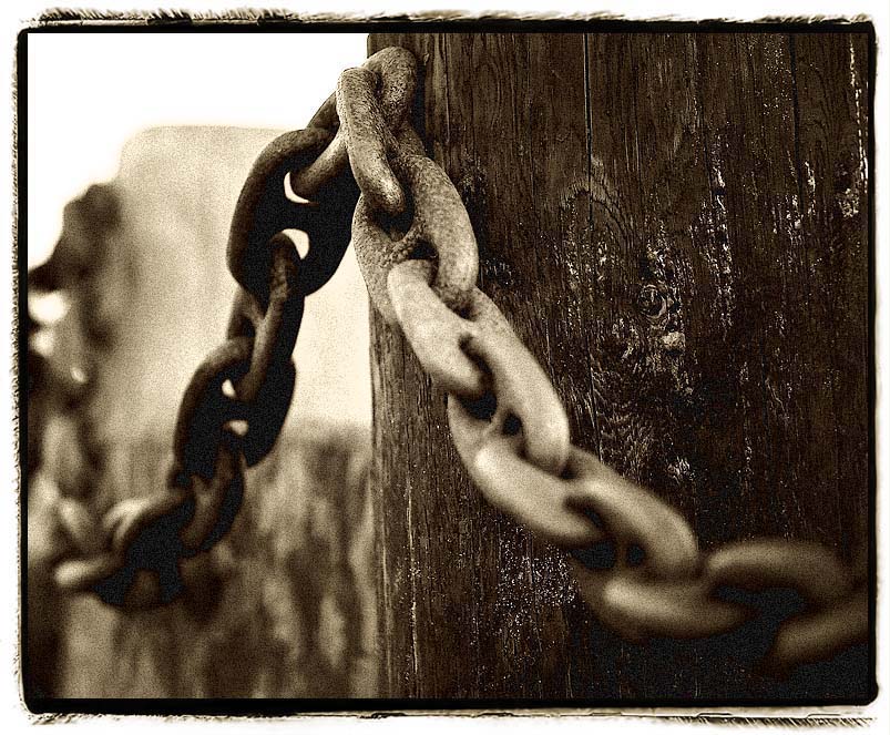 <b>6th Place</b><br><i> Iron and Wood <br>by Jon Stern</i>