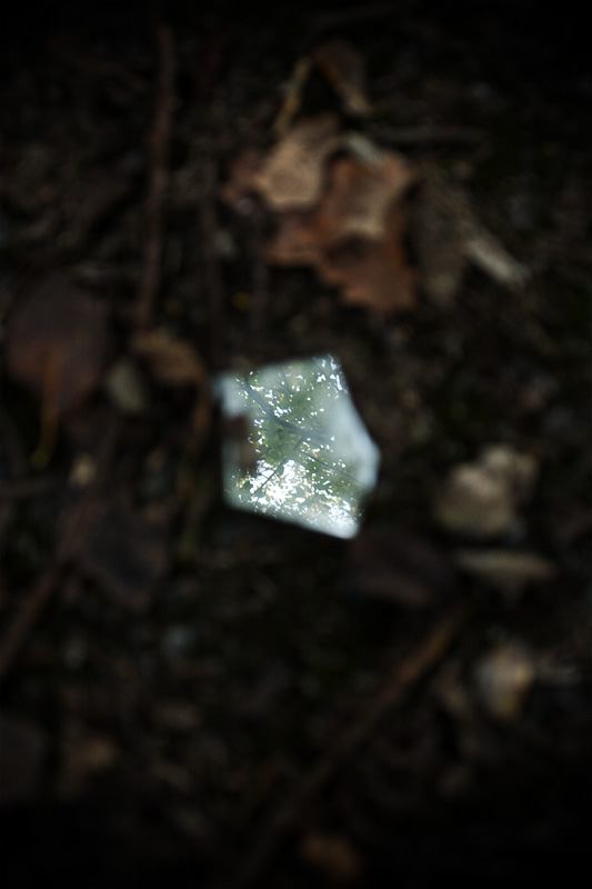 Mirror, Mirror on the Path*