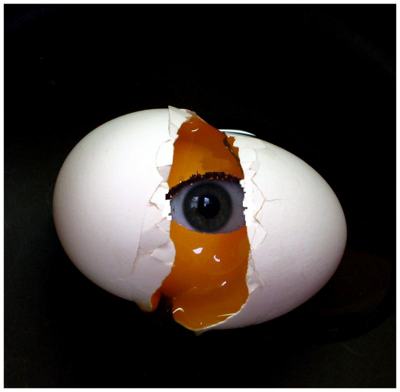 Heres looking at ya!