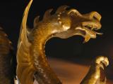 Dragon in the mist