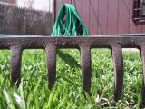Yard Work