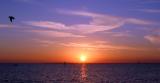 Sunset at Elwood Beach