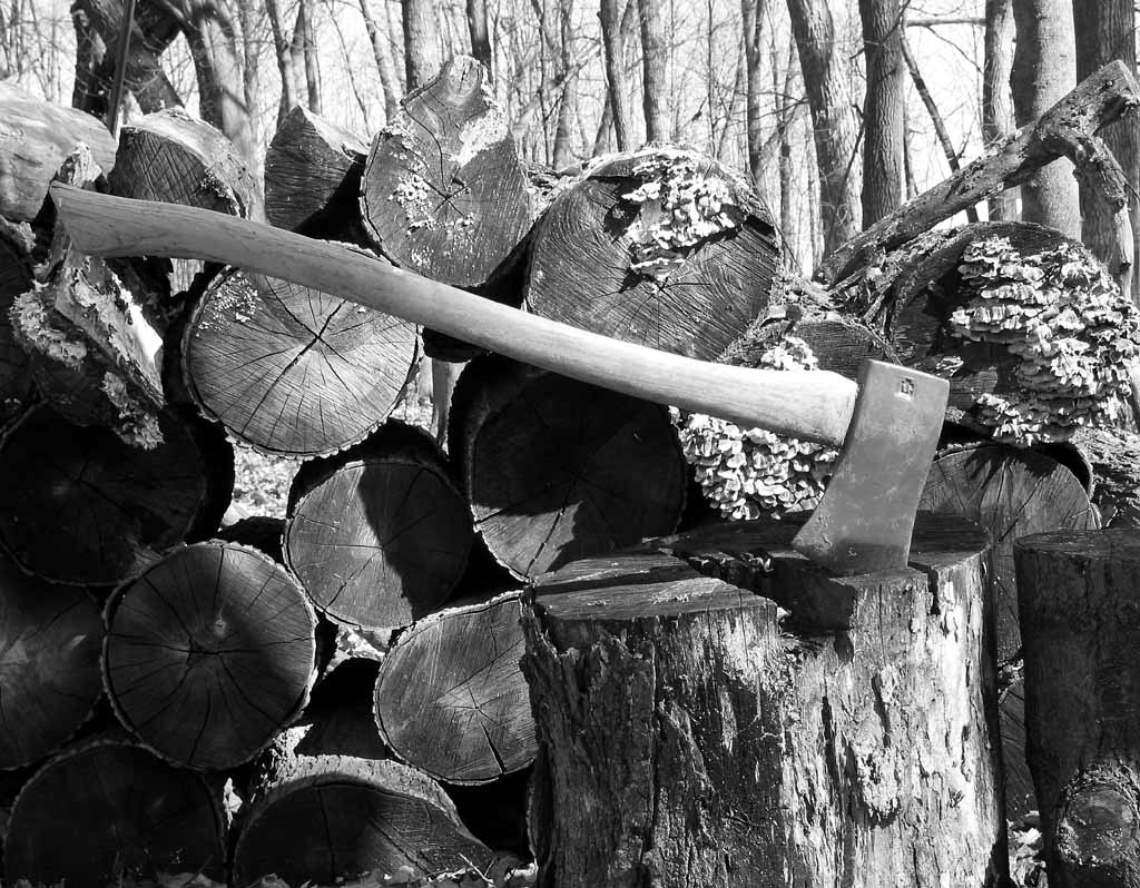 Gathering firewood, clearing the land