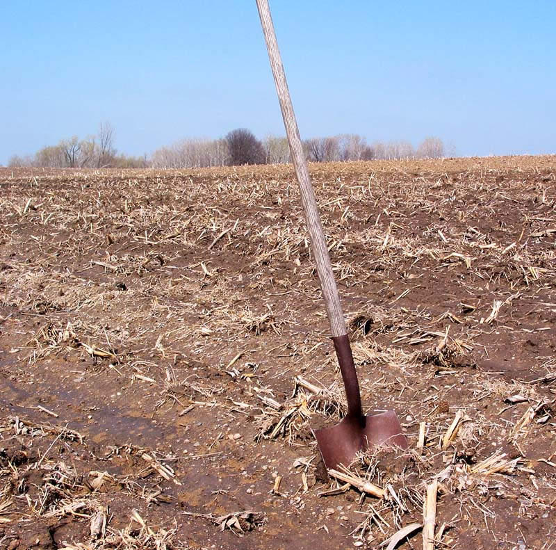 Breaking Ground