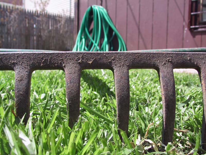 Yard Work