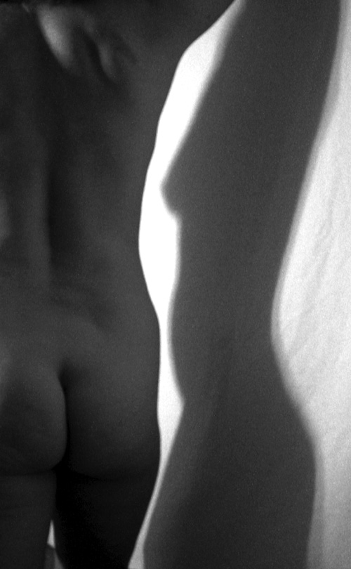 Shapely Shadow