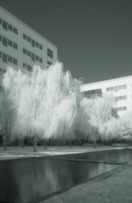 DSCF1197_1.jpg