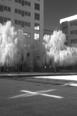 DSCF1188_1.jpg