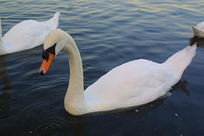 CRW_4353.jpg