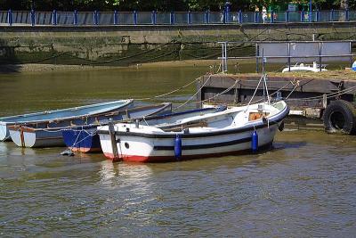 CRW_4546.jpg
