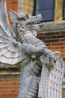 IMG_4593.jpg