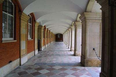 IMG_4621.jpg
