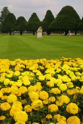 IMG_4653.jpg
