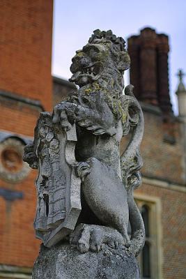 IMG_4677.jpg