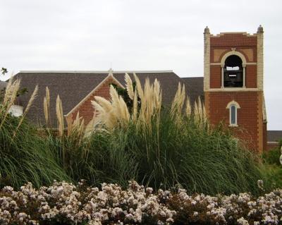 PA070889.jpg