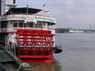 u9/danielle/medium/6691845.new_orleans_49.jpg