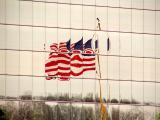 REFLECTING ON OLD GLORY