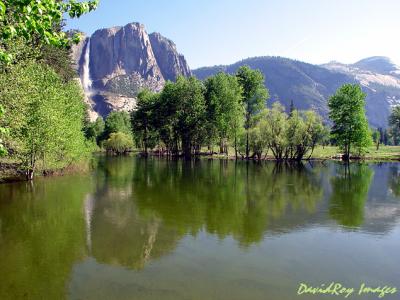 Yosemite Falls YNP 8