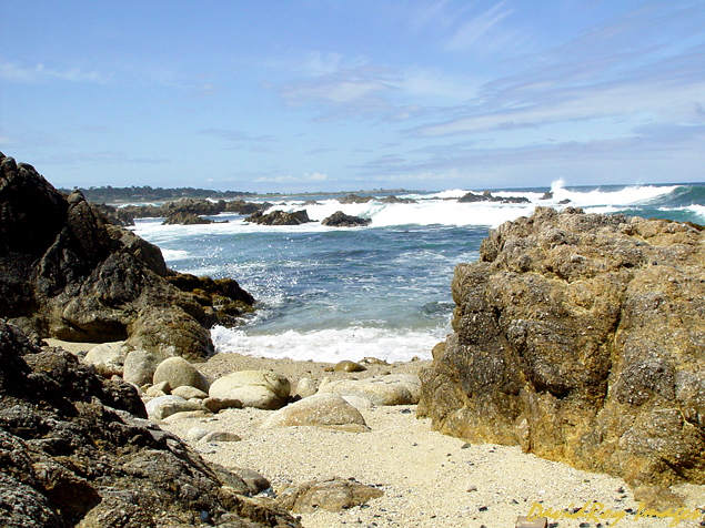 Monterey, Ca.