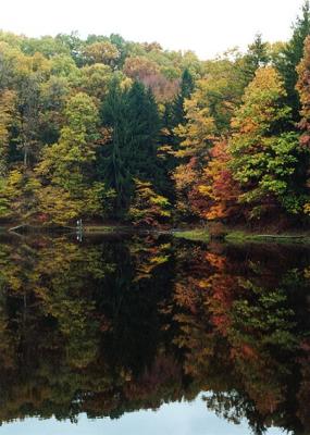 Brown County Indiana