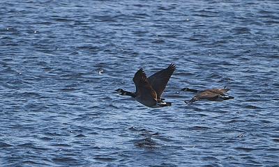 DSC_8735w.jpg