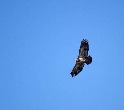 DSC_8824.jpg