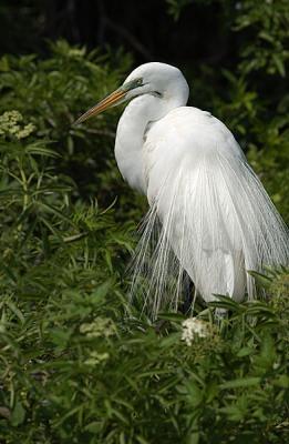 DSC_7879.jpg