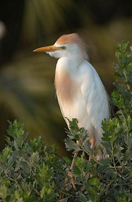 DSC_8051.jpg