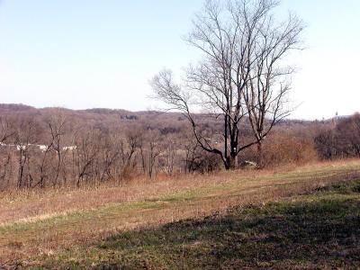 Indian Creek Kennels