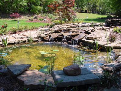 Lower pond in Spring
