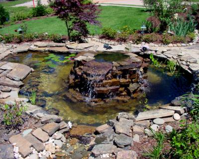 Upper pond in Spring