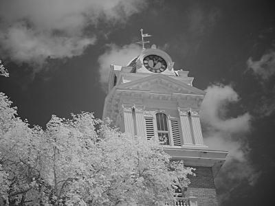 u9/fayewhite/medium/1762253.DSC04015a.jpg