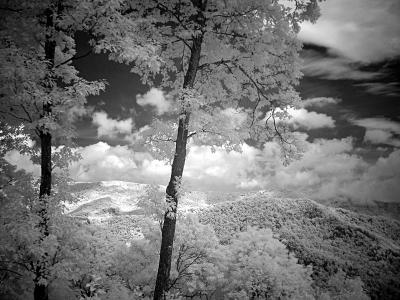 Along the Cherohala Skyway
