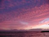 Waikiki Sunset 17