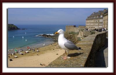 Saint-Malo