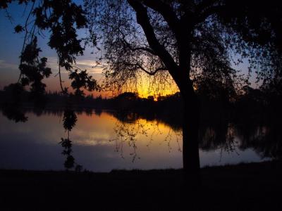 Shoreline Sunset Shadows