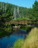 DONNER CREEK FOOTBRIDGE.jpg