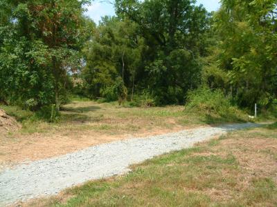 With drought conditions -- time to cut boggy area